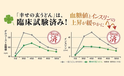 機能性 玄うどん【5食入り×4P】 099H016