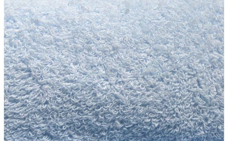 抗菌防臭タオル フェイスタオル 4枚 水色【泉州タオル 国産 普段使い シンプル 日用品】 099H2221