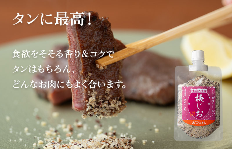 焼き肉専門店 梅じお レモン塩 スパイスセット 90g×合計4袋 お試し 099H2494