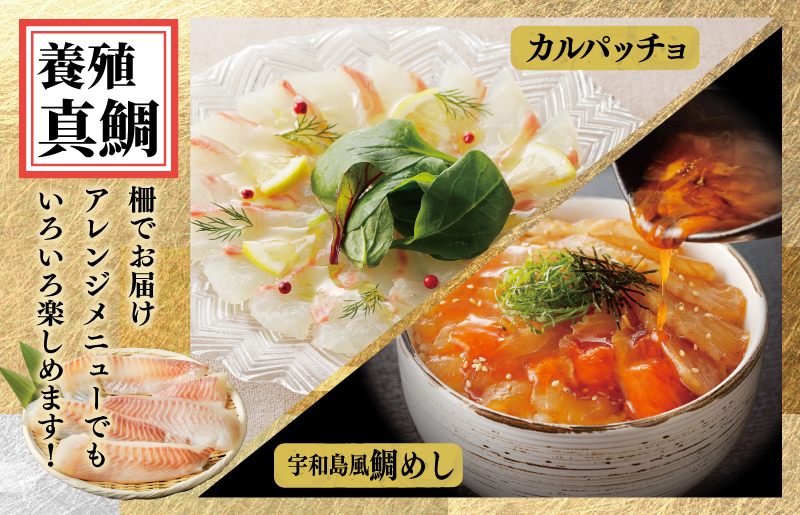 【南予ビージョイ】サーモン＆国産活〆 真鯛  お刺身セット【小分け 訳あり サイズ不揃い 刺身 海鮮丼 人気 オススメ 冷凍】 nbj0004