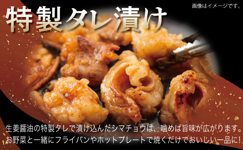 牛シマチョウ 焼肉用 塩麹・タレ漬けセット 合計1.5kg【味付け 小分け 焼くだけ 簡単調理 BBQ 牛肉 ホルモン 250g×6袋】 G3382