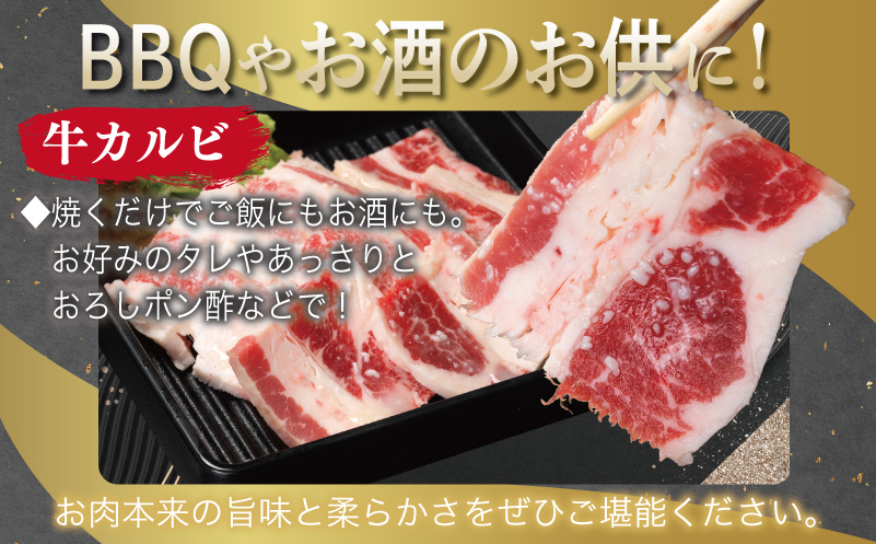牛カルビ＆シマチョウ 塩麹漬け 焼肉セット 合計3kg【味付け 小分け 焼くだけ 簡単調理 BBQ 250g×12袋 牛肉 ホルモン 普段使い】 099H3397