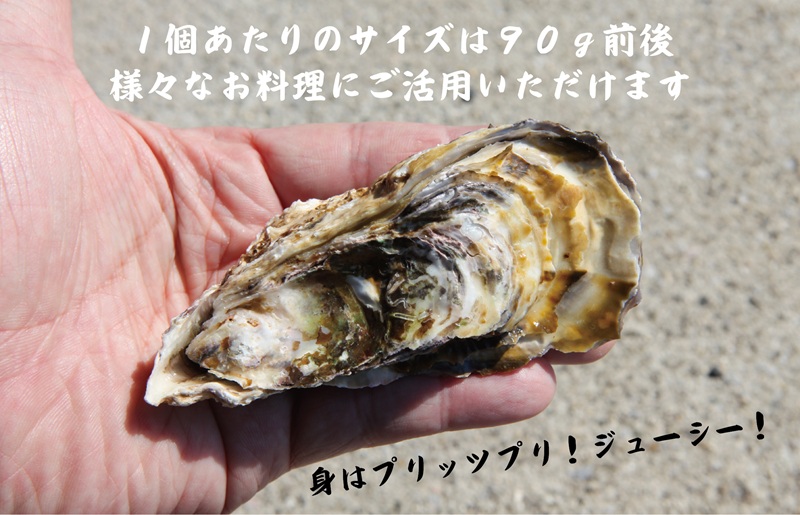 牡蠣 3kg【先行予約 かき カキフライ 冷凍 加熱用 殻付き 魚介類 海鮮 大阪湾 産地直送】 G2187