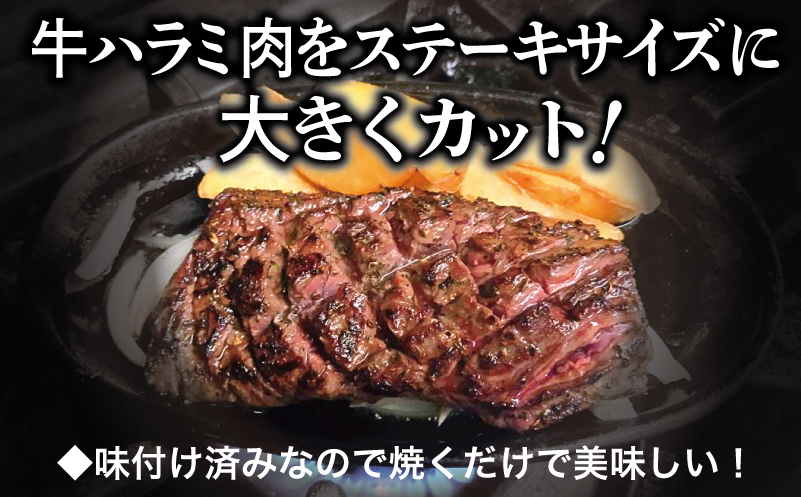 【満足牛ハラミステーキ】オリジナルスパイス仕込み 1枚220g×12P 合計2.64kg 【味付け ハラミ ステーキ 小分け 焼くだけ 簡単調理 BBQ 牛肉 普段使い】 099H4194