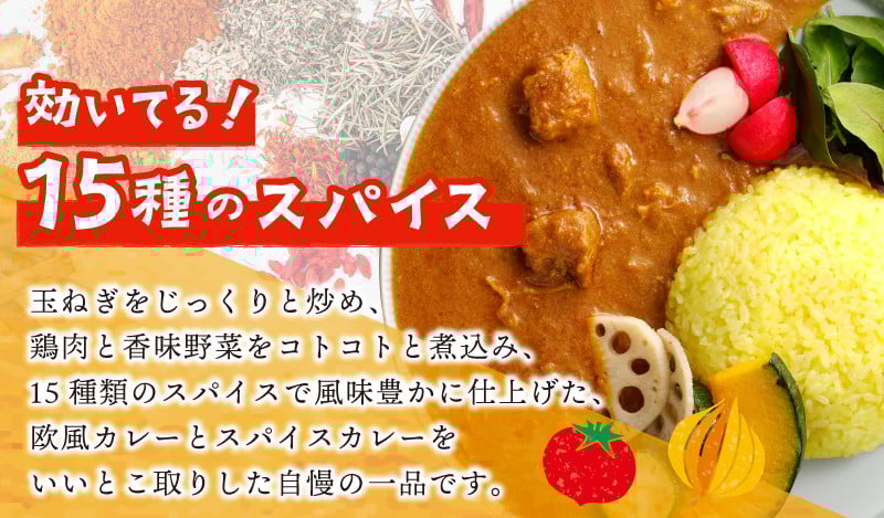 【圧倒的企業努力】15種スパイスを使用したSONカフェ特製カレー 200g×10P&玉ねぎのアチャール×2P&キャベツのピクルス×2P いずみピクルス NSW 099H3795