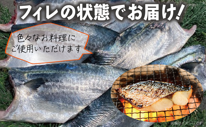 さごしフィレ 合計1kg以上 【小分け 切り身 海産 魚 お弁当 焼き魚 冷凍 惣菜 焼くだけ 訳あり サイズ不揃い 圧倒的企業努力】 099H3890-1