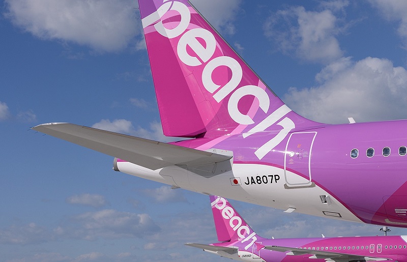 PeachでGo！！泉佐野市宿泊 旅行クーポン（300,000円分）【宿泊 旅行 ホテル トラベル】 099H389