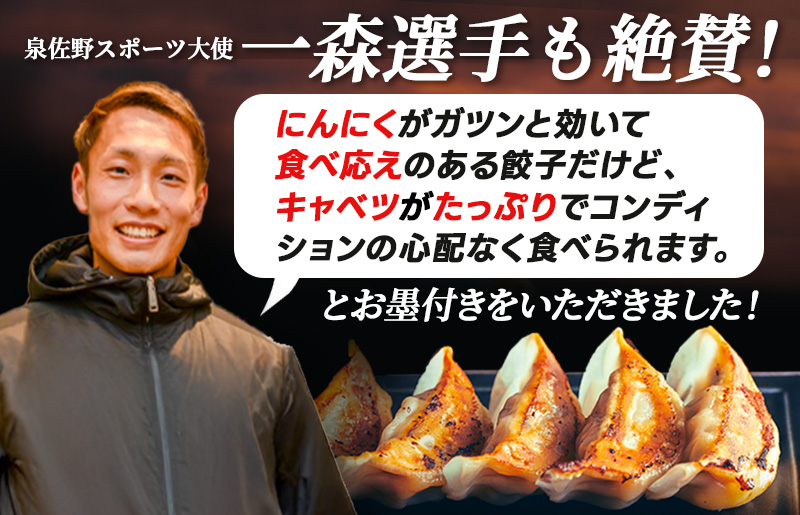 泉州キャベツ餃子140粒【射手矢農園×李朝園 生餃子 自家製 手作り ぎょうざ ギョーザ 惣菜 冷凍 焼くだけ 簡単調理】 099H4138