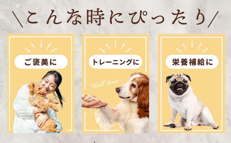 犬用ご褒美おやつセット【無添加 ドッグ いぬ 犬 イヌ おやつ ペット 果物 ドライフルーツ ささみ 国産 安心 犬のおやつ】 099H4347