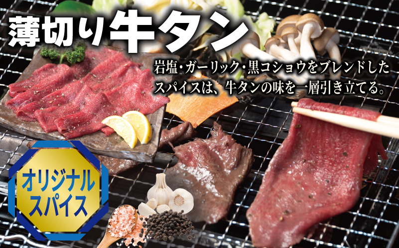 牛タン焼肉 オリジナルスパイス＆牛ハラミ甘辛 食べ比べ焼肉セット 合計500g（250g×2P） 099H4380