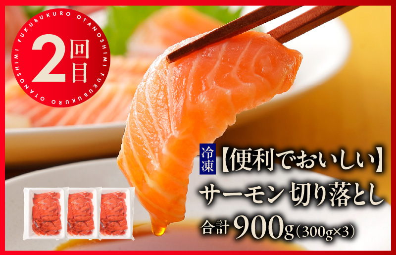 泉佐野お楽しみ福袋 定期便 全3回 牛肉 ステーキ 海鮮 サーモン 野菜【毎月発送コース】 099Z158