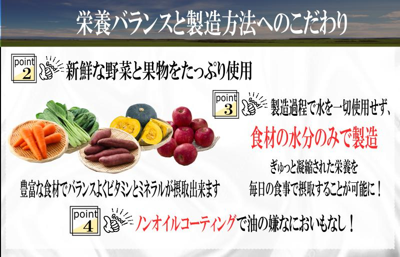 【定期便】国産 無添加 ドッグフード「いのちのごはん」500g×全3回【毎月配送コース】 099Z327