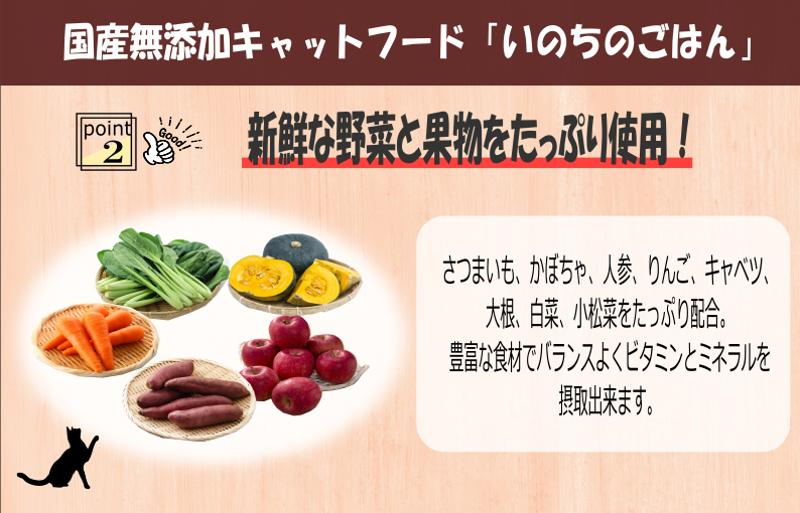【定期便】国産無添加 キャットフード 1kg×全6回「いのちのごはん」タンパク質 66％以上配合タイプ【猫 ねこ ペットフード チキン 手作り ヒューマングレード 国産 毎月配送】 099Z334