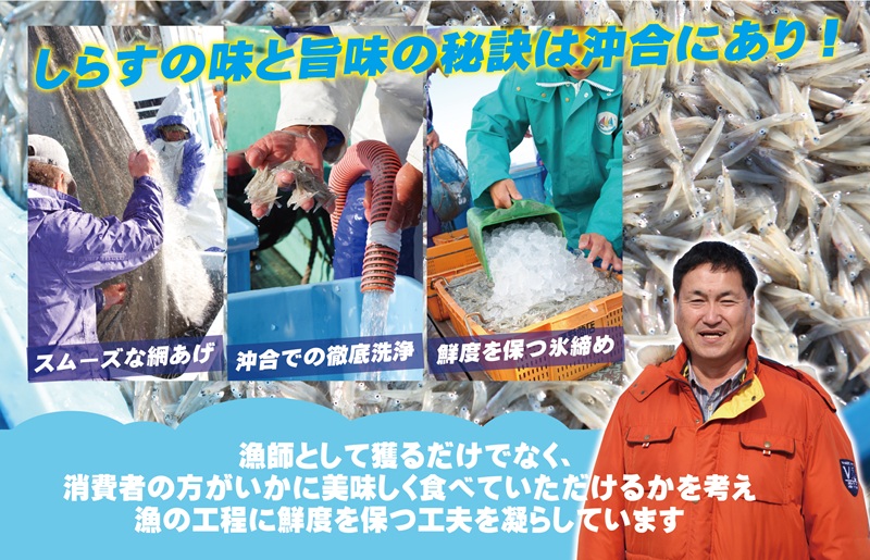 ちりめん山椒しらす 600g×全6回【定期便 小分け シラス しらす sirasu 海鮮 人気 おすすめ 産地直送】 G2192