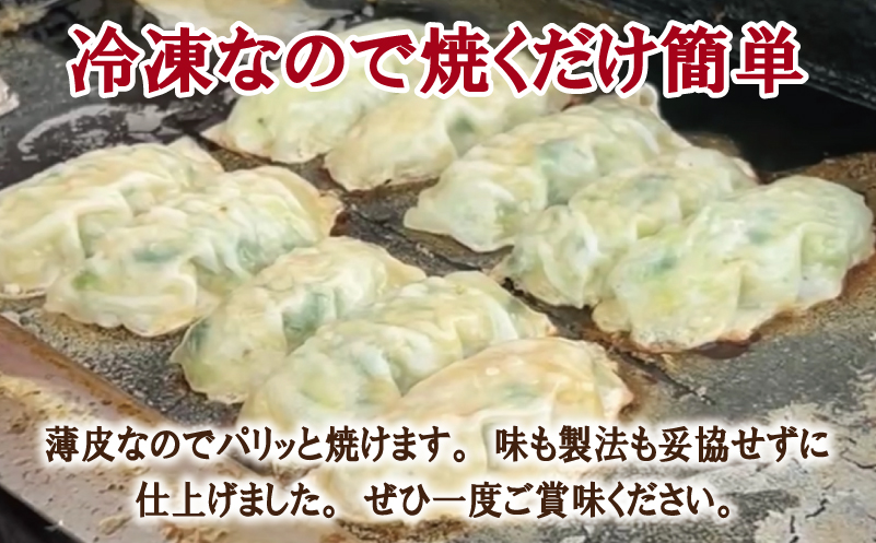 【合計1000個以上】餃子三昧 定期便 88個×12回【自家製 薄皮 手作り ぎょうざ 惣菜 毎月配送】 099Z335