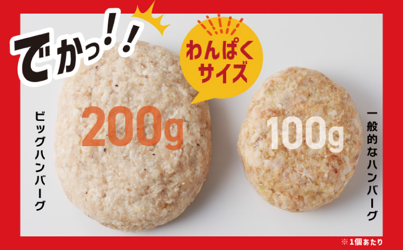 【定期便】黒毛和牛入り BIGハンバーグ（200g×12個）全3回 【毎月配送コース】 099Z412