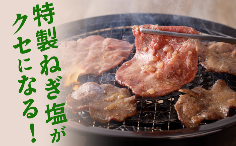 【定期便】牛タン薄切り厚切り交互便 全2回【牛タン 牛肉 焼肉用 薄切り 厚切り 焼肉 BBQ 訳あり サイズ不揃い 毎月配送コース】 099Z474