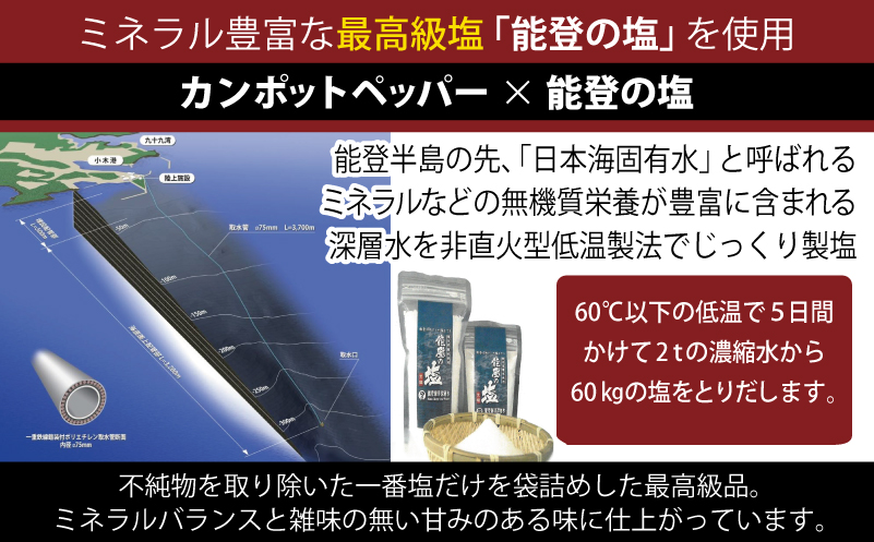 生胡椒 極(きわみ) 25g×1本【能登の塩 コショウ こしょう カンポットペッパー スパイス カンボジア】 005A747