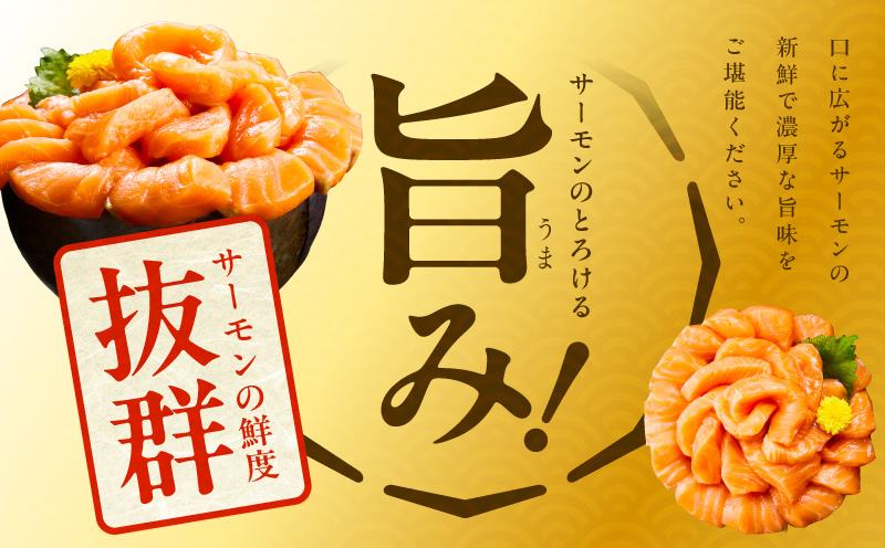 北極圏サーモン ポーション 1kg【高級 小分け 海鮮丼 人気 オススメ 小分け 冷凍 簡単調理 一人暮らし】 015B288