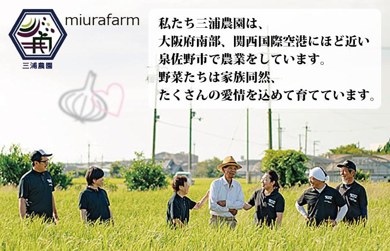 【先行予約】 数量限定 幻のたまねぎ 泉州黄玉ねぎ 10kg【新鮮 野菜 泉佐野産 茄子 やさい 高評価 数量限定】 010B259