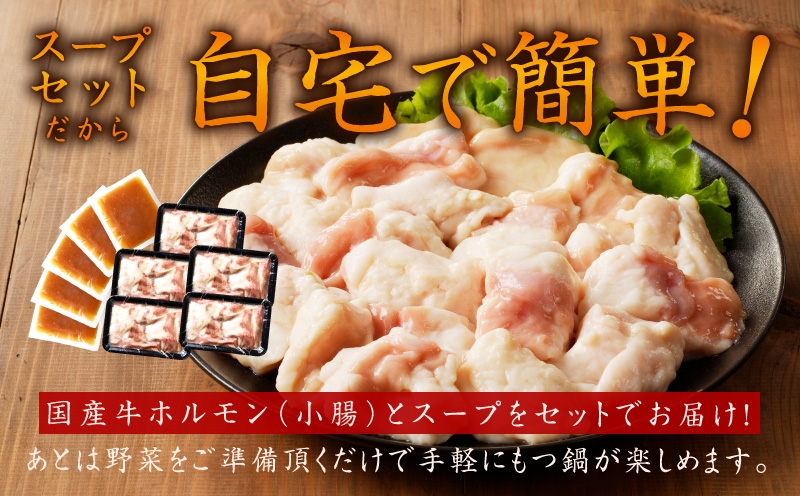 牛もつ鍋セット 15人前【国産 牛肉 ホルモン 塩こうじ スープ付き モツ 鍋 高評価 冷凍 鍋セット 簡単調理】 015B570