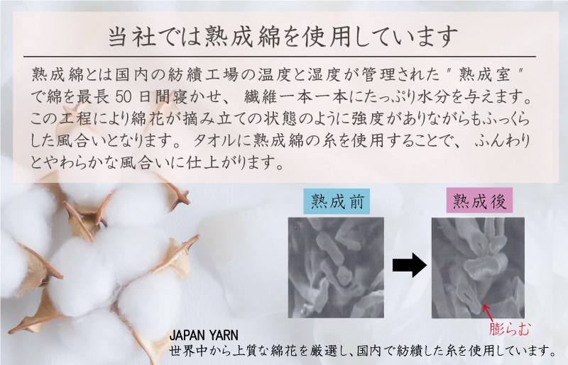 普段使いにぴったりのフェイスタオル 6枚セット ブラウン 泉州タオル【泉州タオル 国産 吸水 普段使い 無地 シンプル 日用品 家族 ファミリー】 knt0022