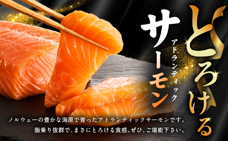 アトランティックサーモン 食べ比べ 合計 1.8kg（スライス1kg／柵 800g） 030D186
