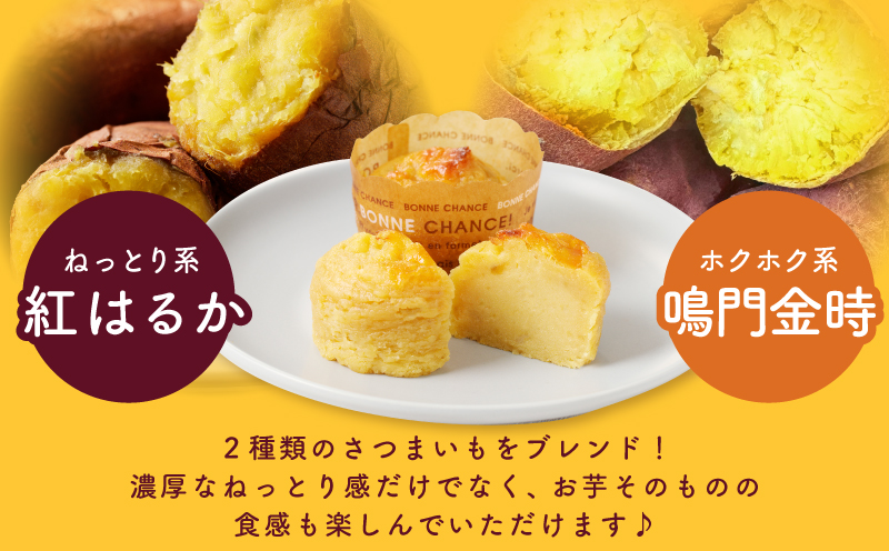 【圧倒的企業努力】芋匠さのや特製 濃厚スイートポテト+芋けんぴ 付き 010B1760