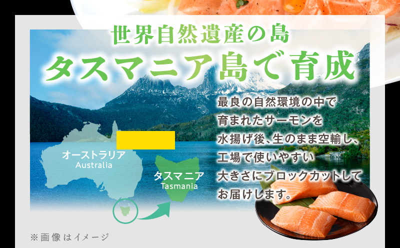 タスマニアサーモン 1kg【アトランティクサーモン 真空パック 小分け ブロック 訳あり サイズ不揃い 上質 刺身 海鮮丼 サラダ 冷凍 物価高応援】 kgp0054