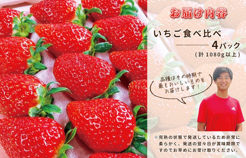 完熟新鮮 いちご食べ比べ 4パック 合計1080g以上 099H2855