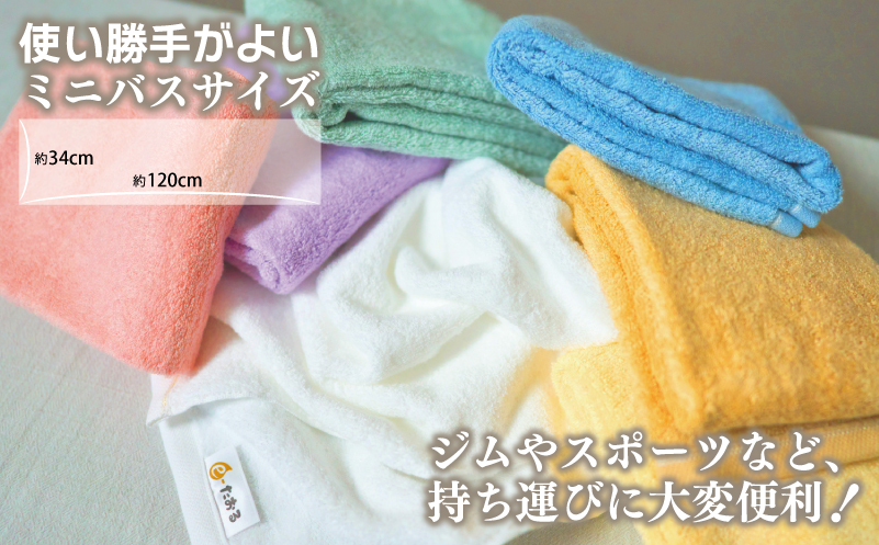 【e-たおる】ミニバスタオル 3枚（クリーム）34cm×120cm 【泉州タオル 国産 吸水 普段使い シンプル 日用品】 099H2952