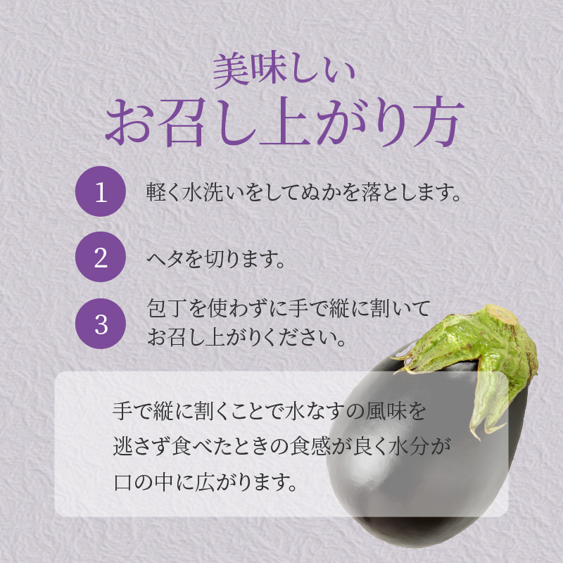 【先行予約】特選水なす浅漬け 11個入り【新鮮 野菜 泉佐野産 茄子 やさい 高評価 数量限定】 099H3539