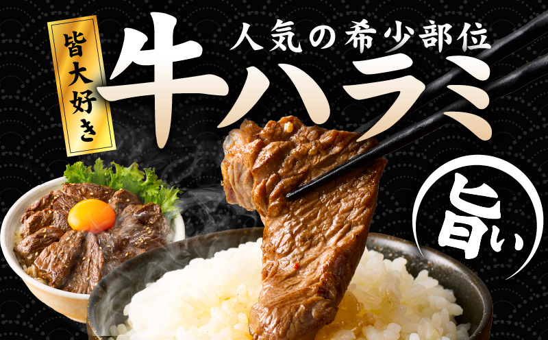 【満足牛ハラミ】3種セット （甘辛タレ漬け・中辛タレ漬け・オリジナルスパイス仕込み）  合計3kg 【味付け ハラミ 小分け 焼くだけ 簡単調理 BBQ 牛肉 250g×12P 普段使い】 099H4191