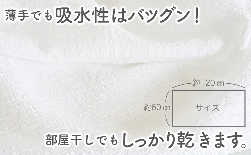 泉州タオル「家事がラクになるバスタオル」セット（パステル系） knt0046