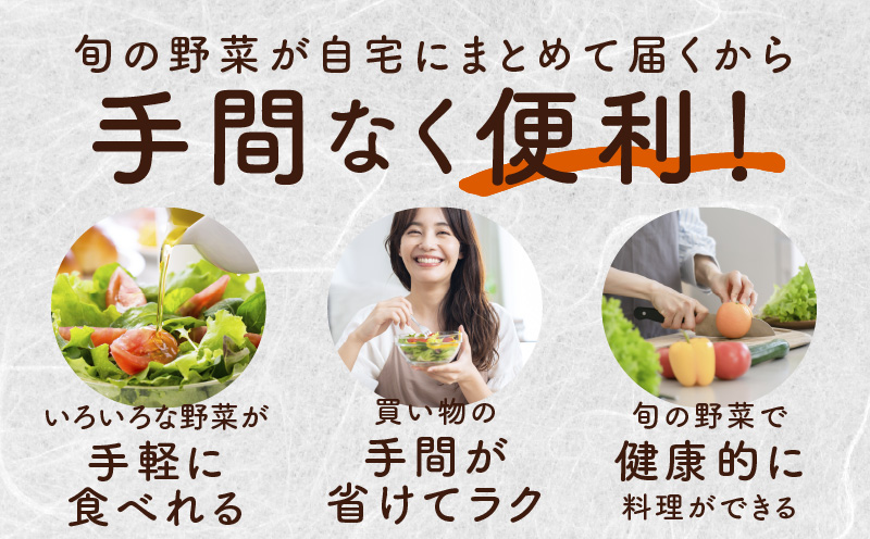 泉州野菜 定期便 15種類以上×全4回【毎月配送 国産 野菜 やさい 詰め合わせ セット 新鮮 旬 ええもん ていきびん】 099Z190