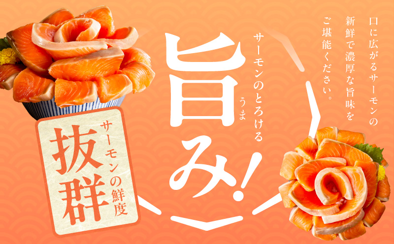 サーモン 定期便 1kg×全6回【ポーション 訳あり サイズ不揃い 刺身 海鮮丼 さーもん サラダ カルパッチョ 鮭 さけ シャケ しゃけ 人気 小分け 冷凍 家計応援】 099Z347