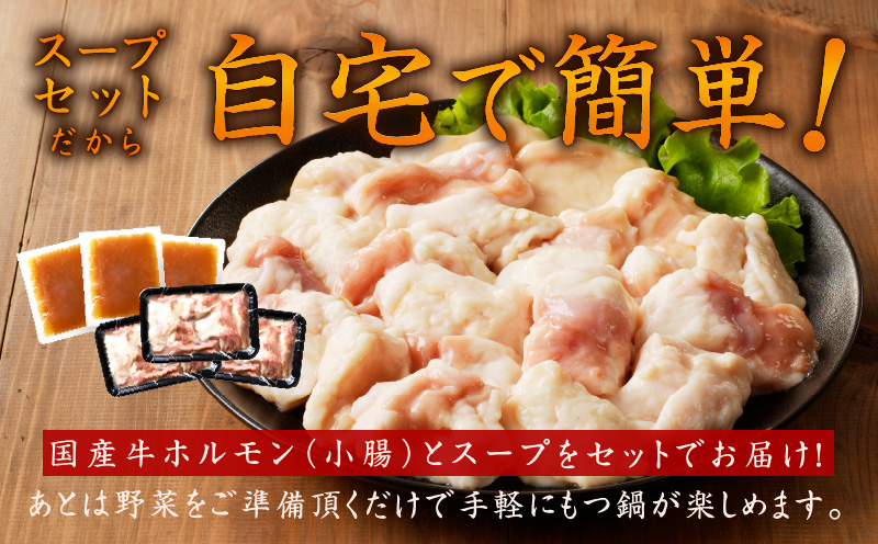 【定期便】牛もつ鍋セット 9人前 全3回【毎月配送コース 国産 牛肉 ホルモン 塩こうじ スープ付き モツ 鍋 高評価 冷凍 鍋セット 簡単調理】 099Z420