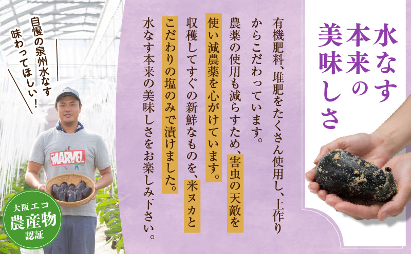 【先行予約】特選 無添加 水なす漬け 徳用水ナス セット【食べ比べ 新鮮 野菜 泉佐野産 茄子 やさい TONOファーム 高評価 数量限定】 005A058