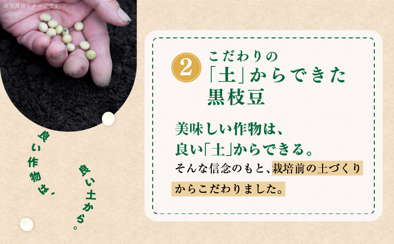 【畑から直送 朝採り】黒枝豆 3.6kg 【新鮮 野菜 泉佐野産 えだまめ やさい TONOファーム 高評価 数量限定 先行予約】 010B141