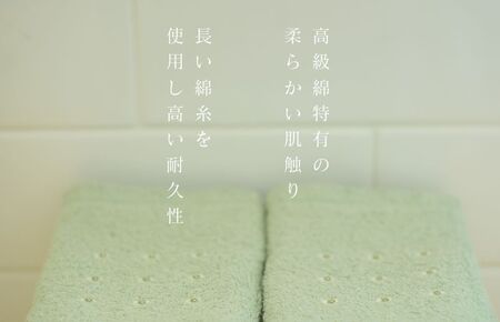 高級スーピマコットン フェイスタオル 10枚（グリーン）【泉州タオル 国産 吸水 普段使い シンプル 日用品 家族 ファミリー】 020C344