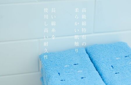 高級スーピマコットン フェイスタオル 10枚（ブルー）【泉州タオル 国産 吸水 普段使い シンプル 日用品 家族 ファミリー】 020C346