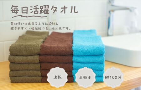 カラーフェイスタオル 10枚 モスグリーン【泉州タオル 国産 吸水 普段使い シンプル 日用品 家族 ファミリー】 099H2376