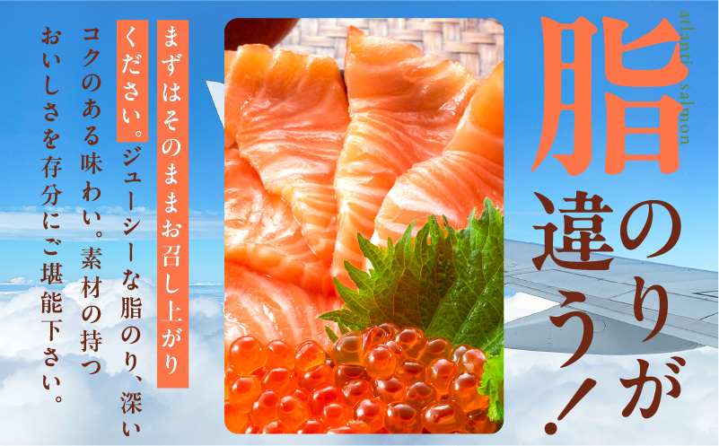 アトランティックサーモン 総量 2kg以上【フィレ エコパック 訳あり サイズ不揃い 刺身 さーもん 冷凍 北国からの贈り物】 099H3607