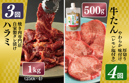 焼肉専門店厳選 大満足 焼肉 定期便 全6回 【毎月配送コース】 099Z135