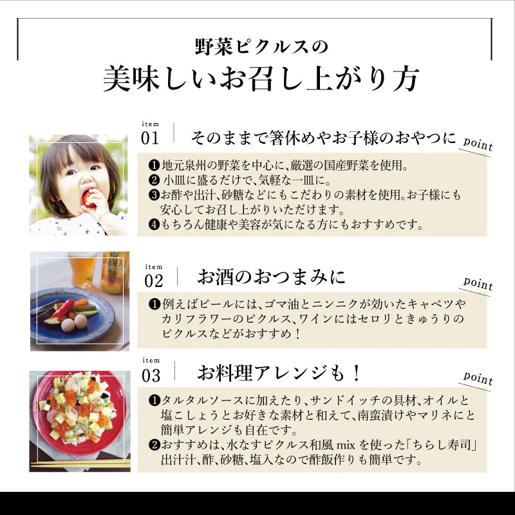 【スピード発送】担当者が選んだピクルス 2本セット うずら卵／水なすピクルス和風mix NSW 005A514