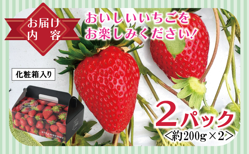 【特別規格】朝摘み完熟いちご 2パック【化粧箱入り 200g×2P 苺 イチゴ フルーツ 果物】 005A359