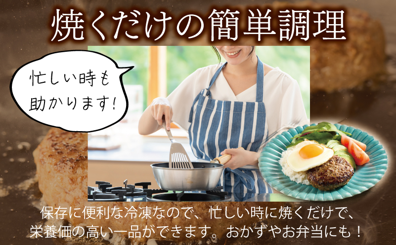 桜文 馬肉ハンバーグ 総量2.4kg（120g×20個） 個包装 099H3402