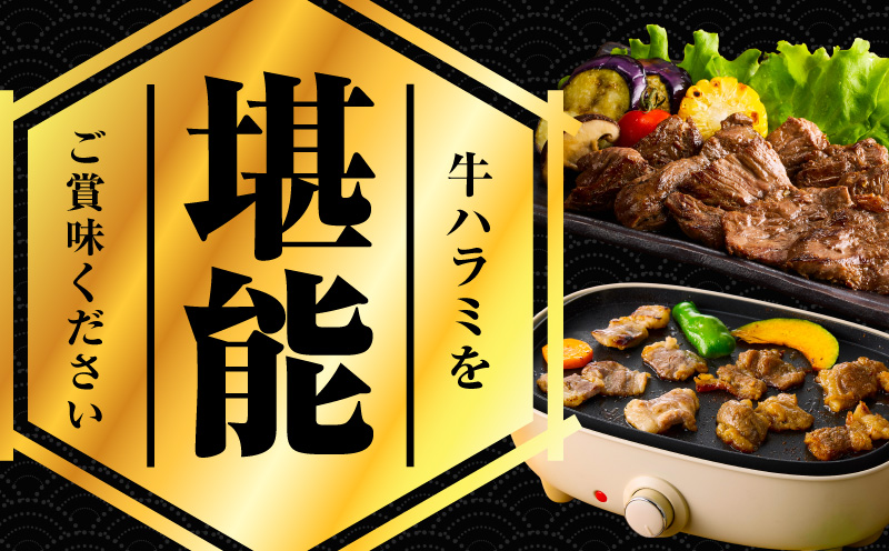 【満足牛ハラミ】甘辛タレ漬け 400g【味付け ハラミ 小分け 焼くだけ 簡単調理 BBQ 牛肉 200g×2P】 G3446