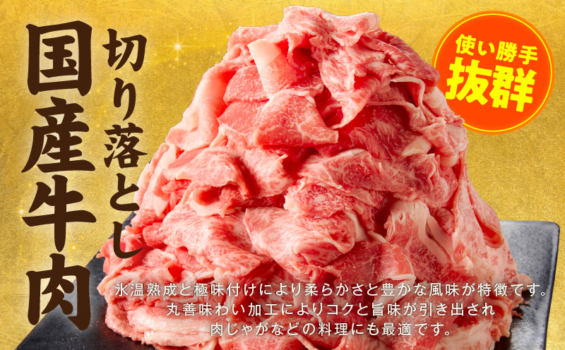 国産牛 切り落とし 1.2kg 小分け 300g×4P【国産 牛肉 氷温熟成×極味付け 訳あり サイズ不揃い カレー 牛丼 野菜炒め 肉じゃが 家計応援】 mrz0362