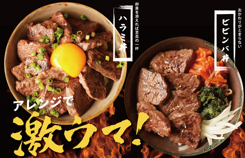 牛肉 ハラミ 900g 小分け 300g×3P【氷温熟成×特製ダレ 味付き 牛肉 訳あり 不揃い 焼肉 BBQ 野菜炒め】 mrz0268